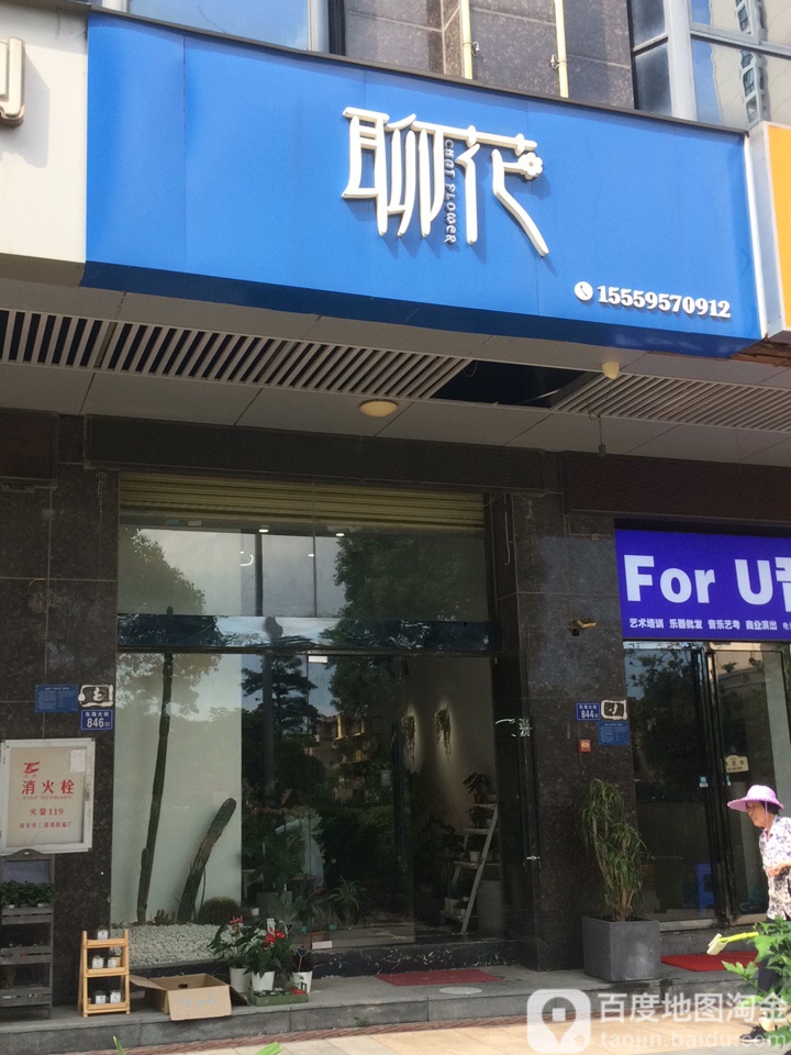 聊花(东海湾丽园店)