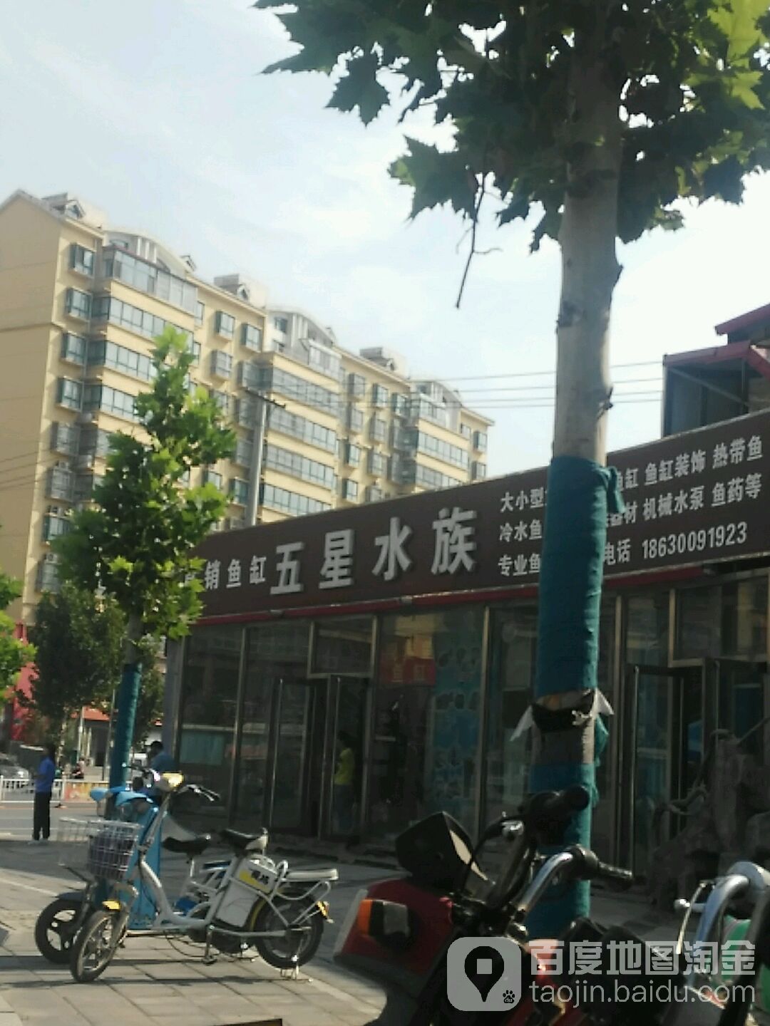 厂家直销鱼缸五星水族(健康大街店)