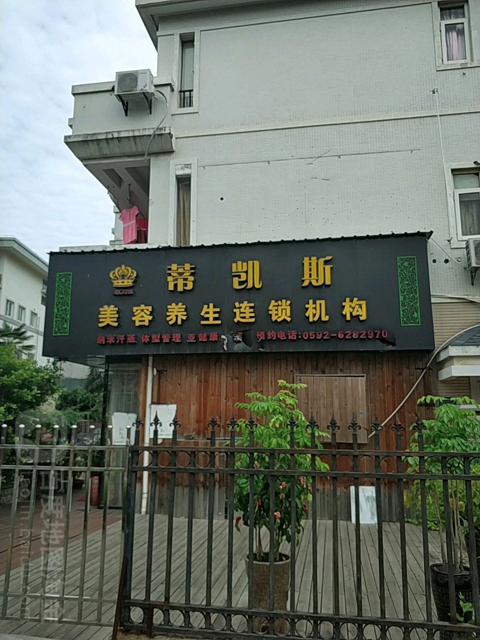 蒂凯斯