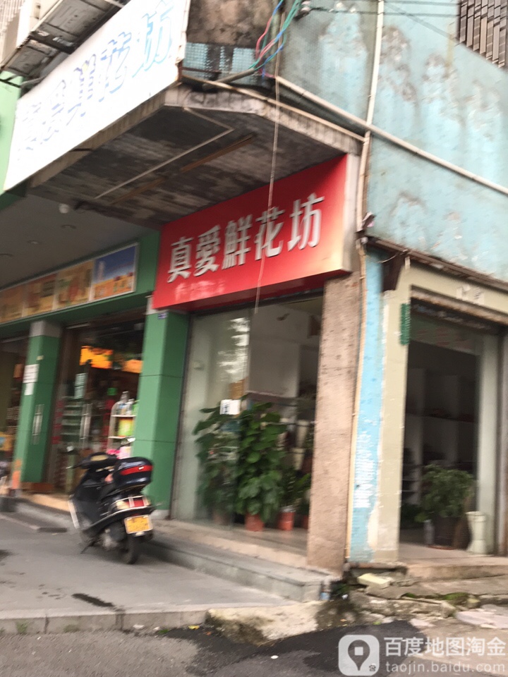 真爱鲜花坊(真爱花店)
