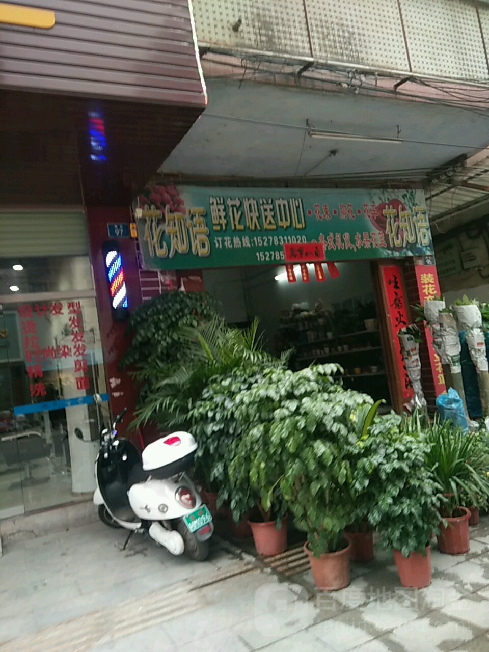花知语鲜花快送中心