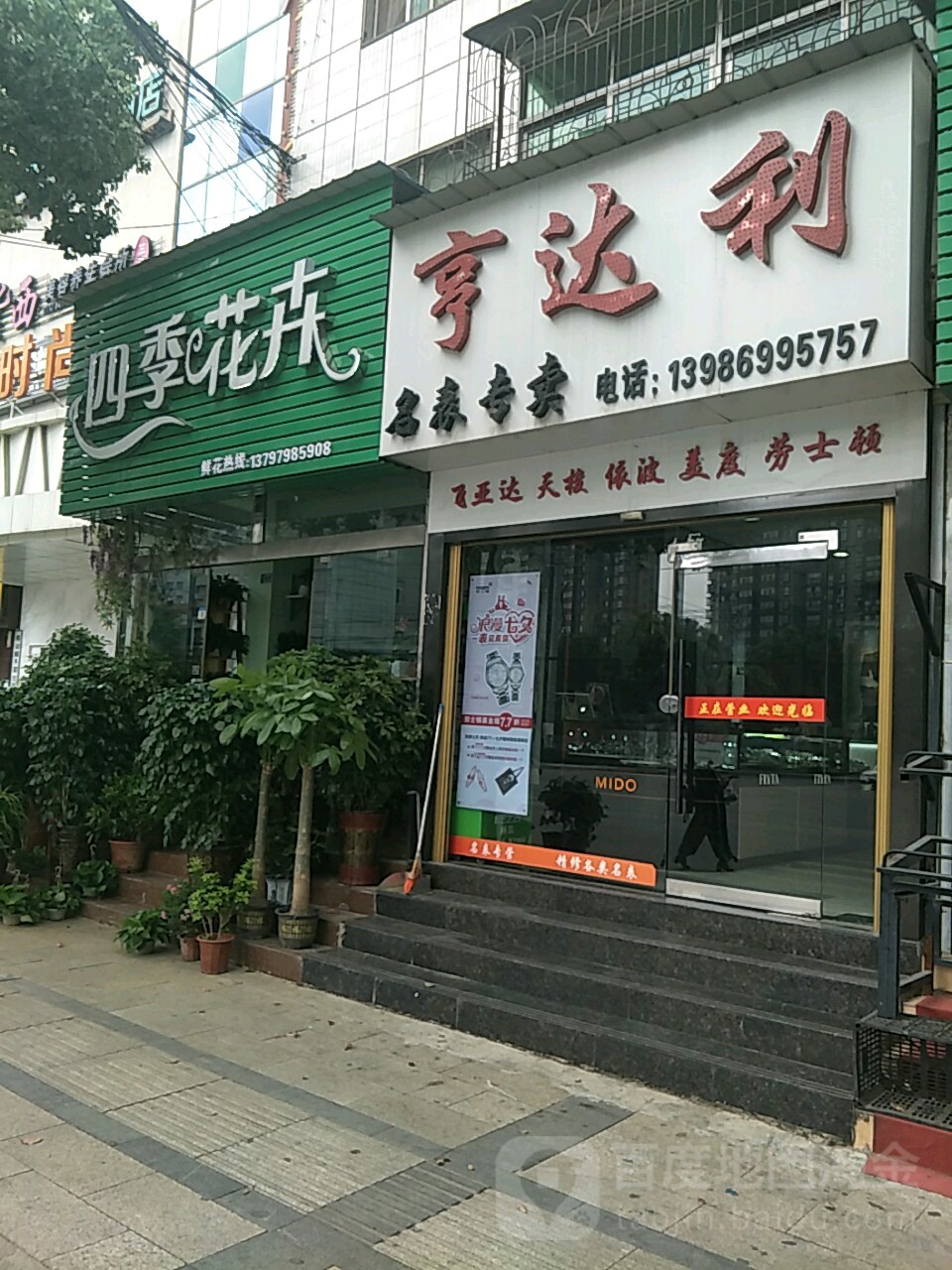 四季花卉(沙洋汽车八队居民区东南)