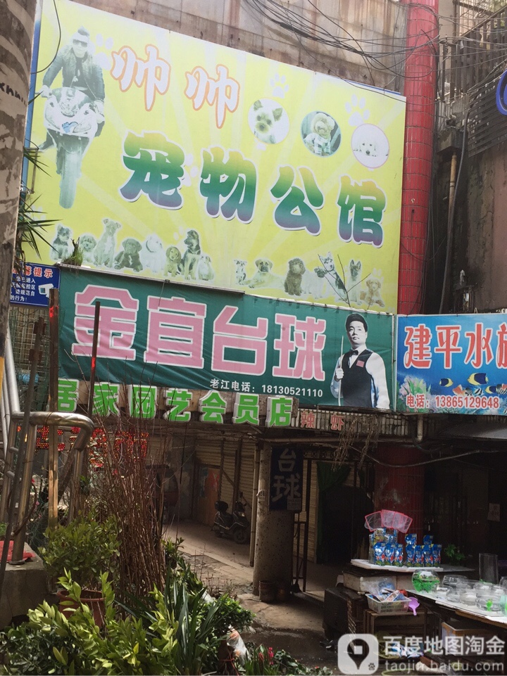 帅帅宠物公馆