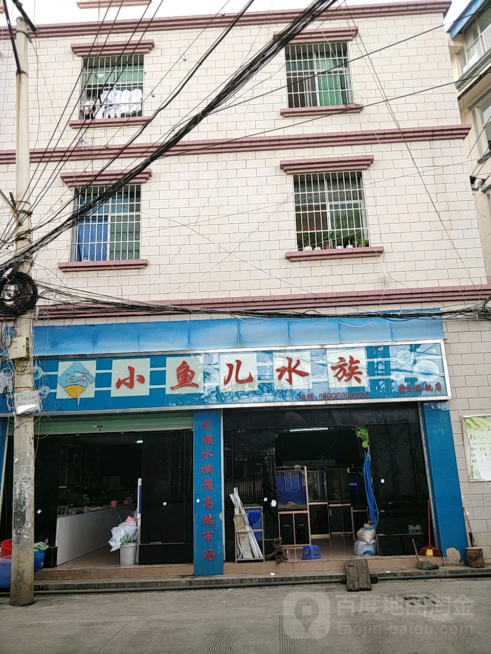 小鱼尔水族(蒙自旗舰店)