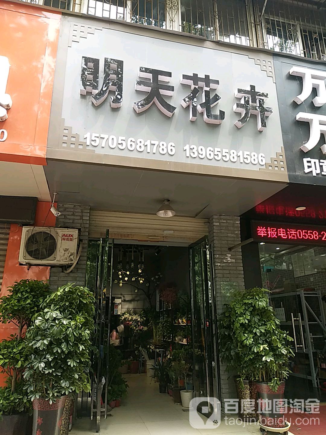 明天花卉