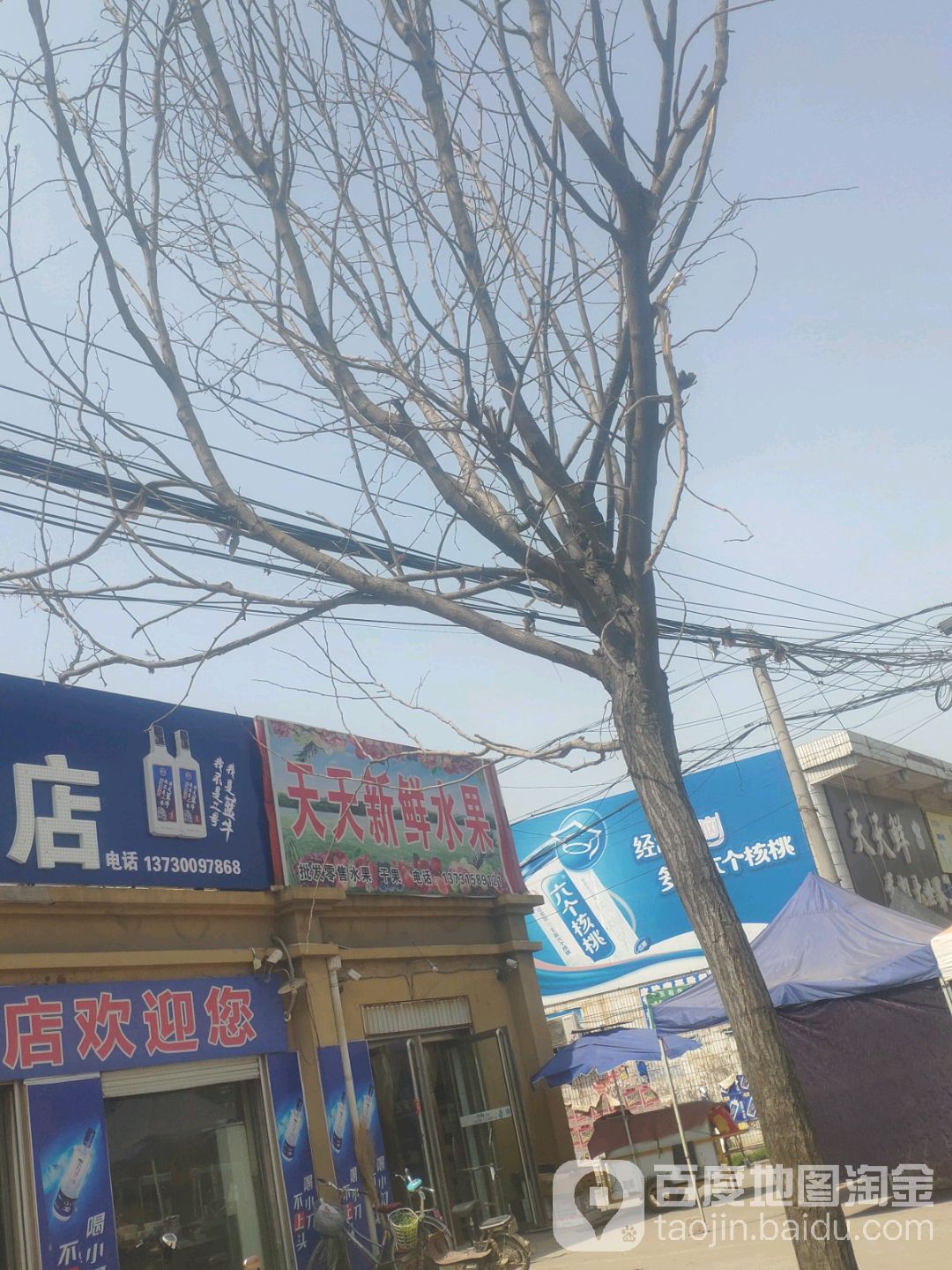 天天新鲜水果