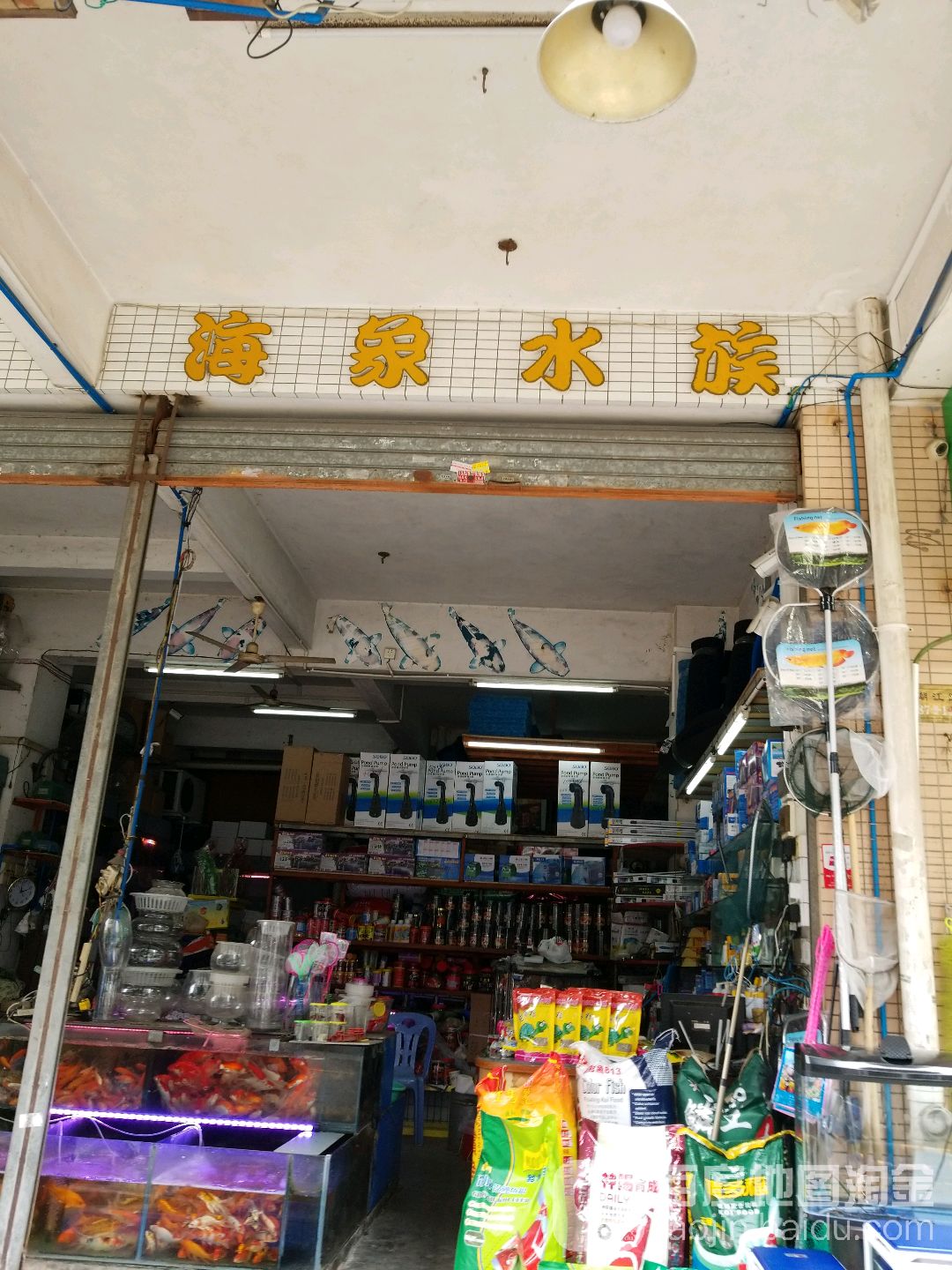 海象水族