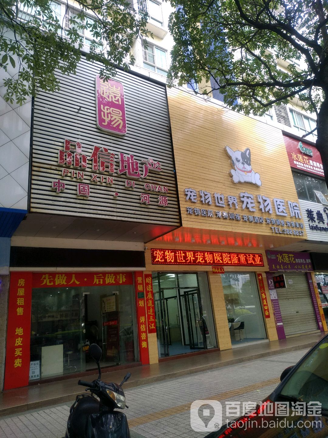 宠物世界宠物医院(中山店)