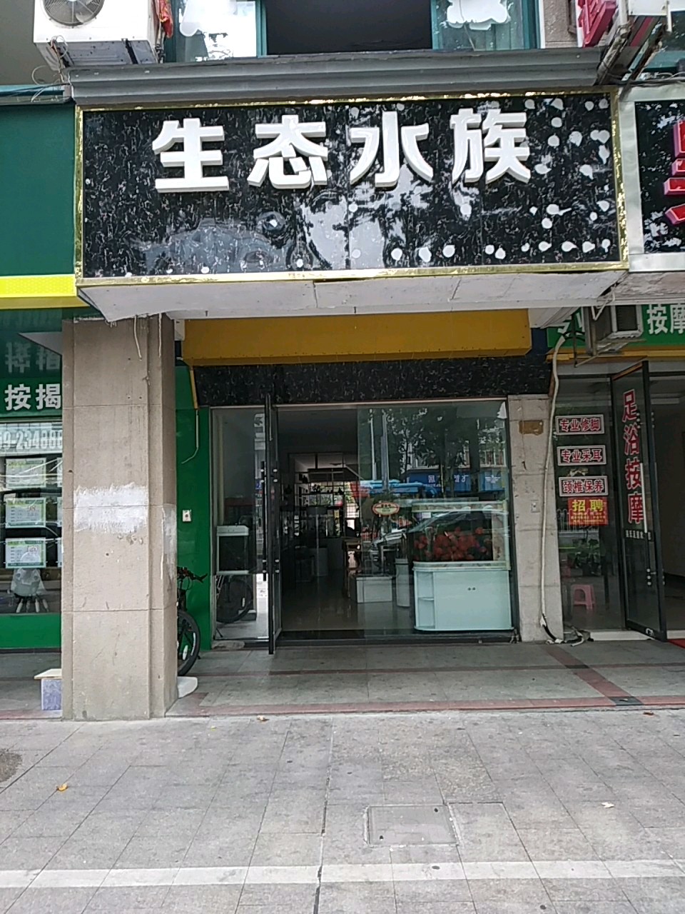 生泰水族(维多利亚广场南苑店)