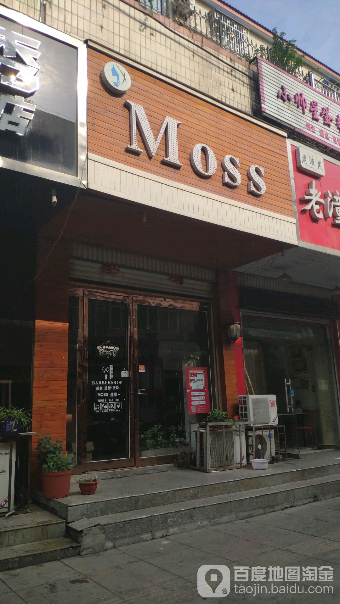 moss造型