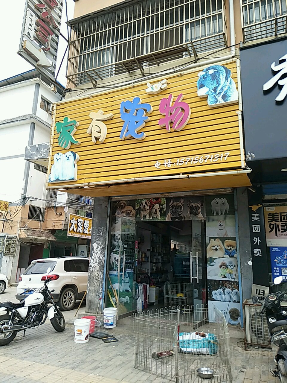 家有宠物(富强路店)