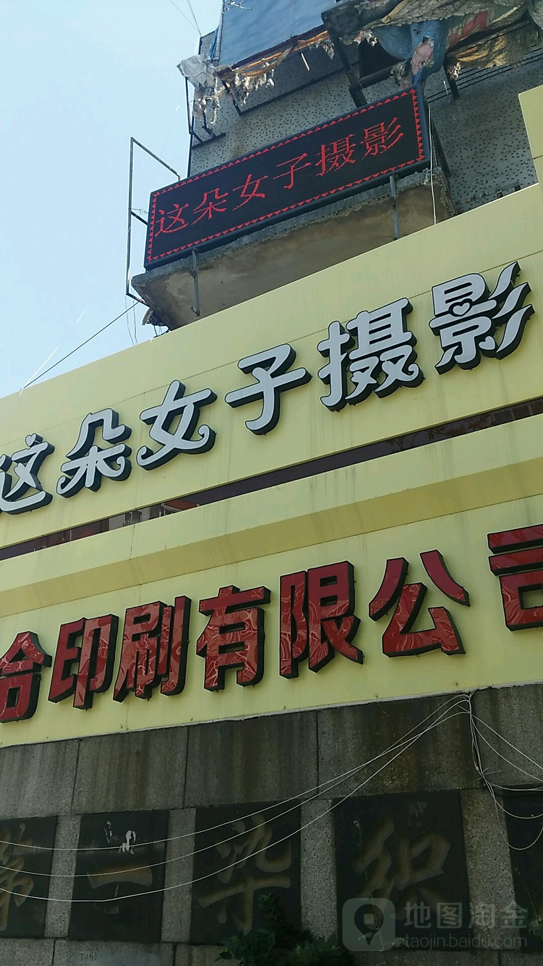 这朵女子资料图片