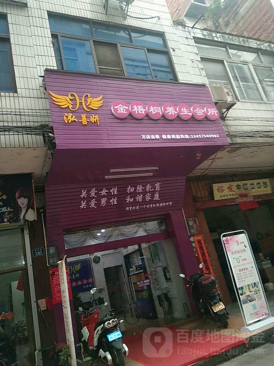 金梧桐养生会所