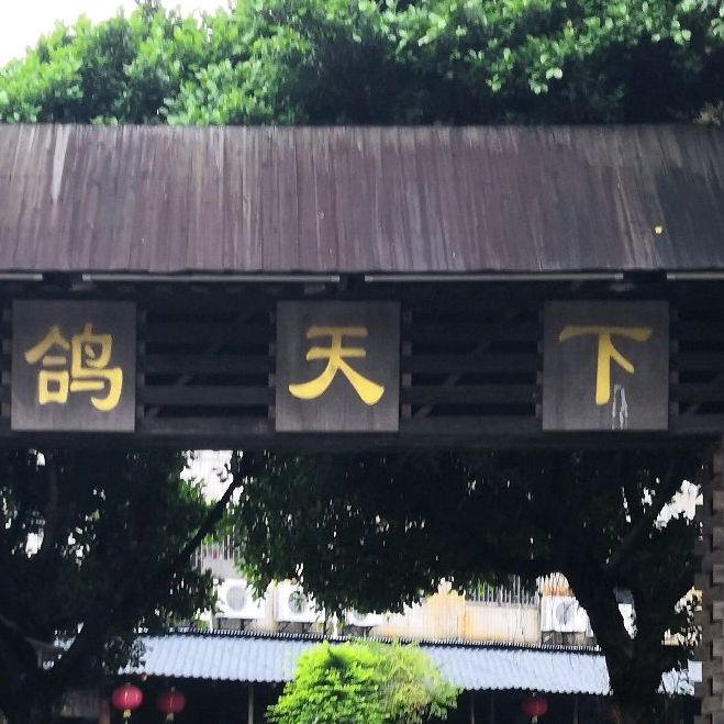鸽天下(影荫三街店)
