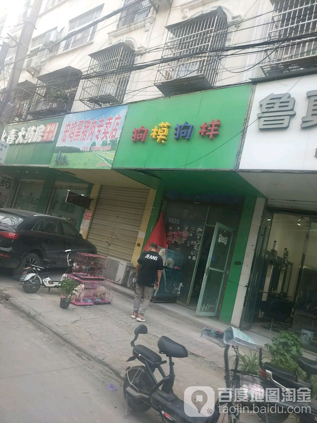 狗模狗样(青年路店)