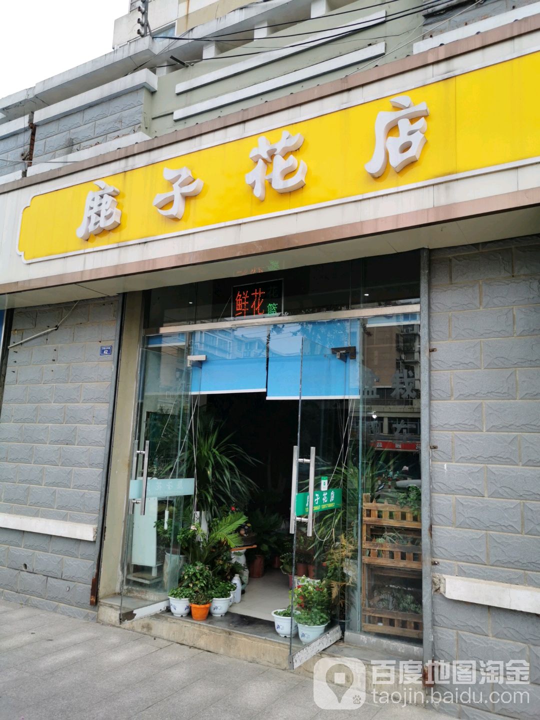 鹿子花店