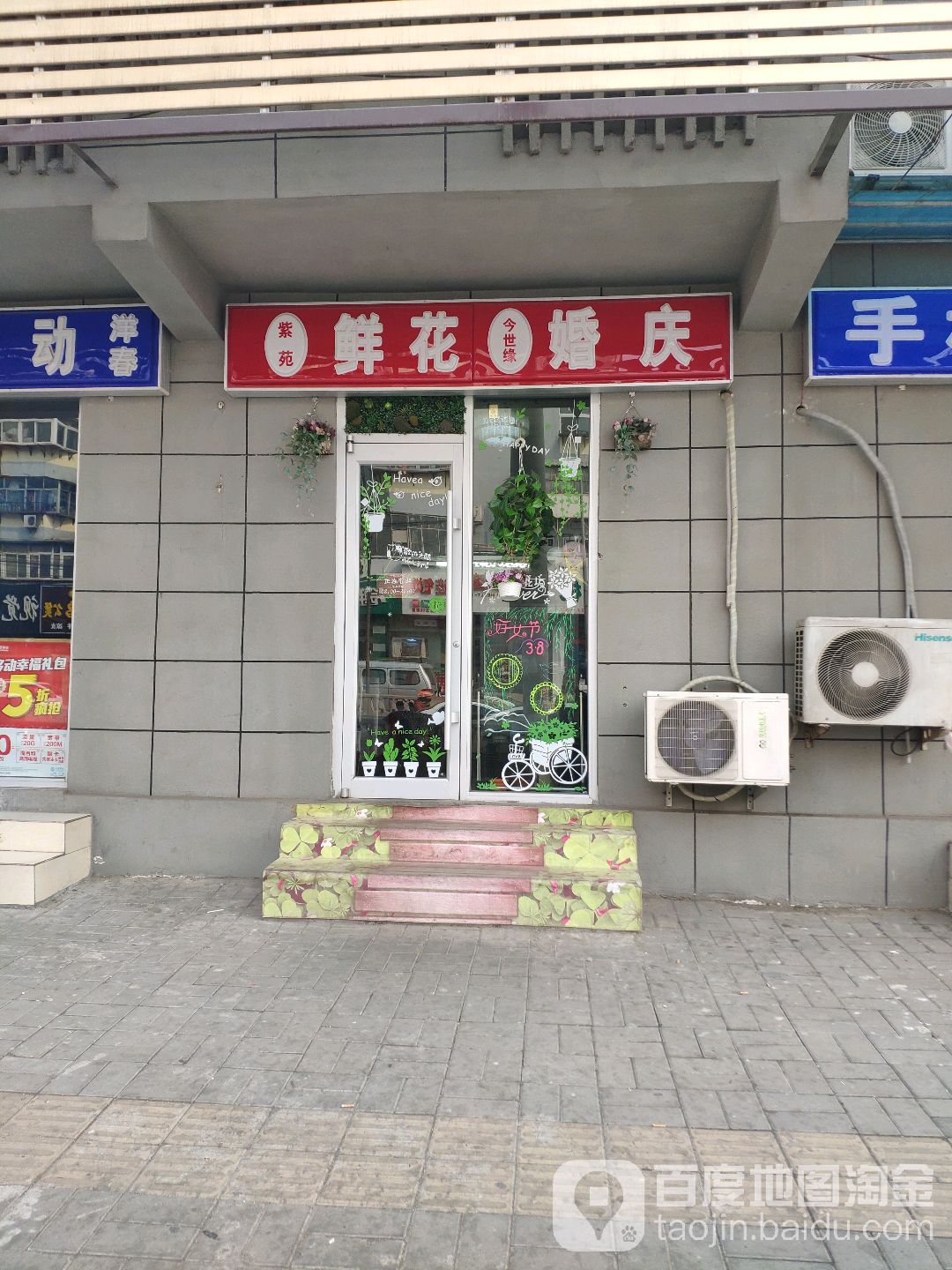 紫苑鲜花