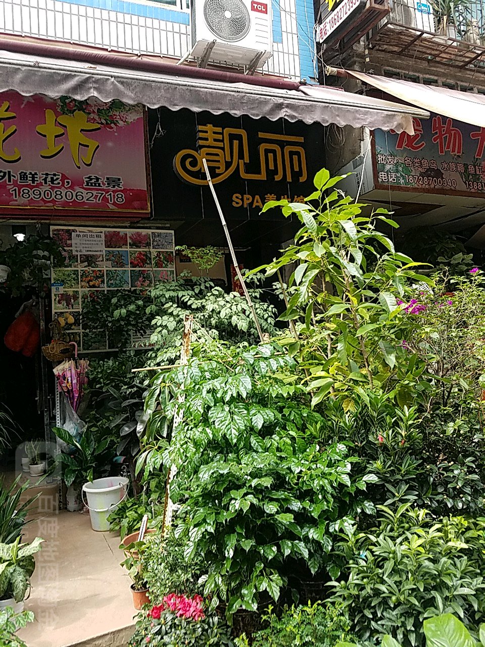 靓丽SPA养生馆