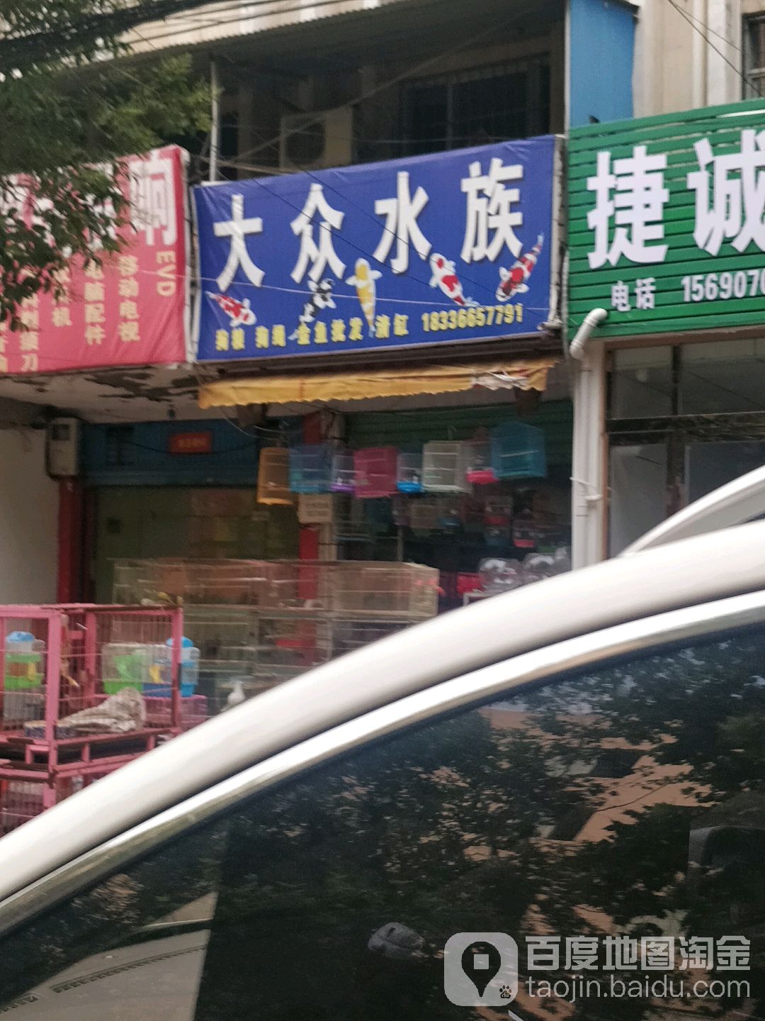 大众水族