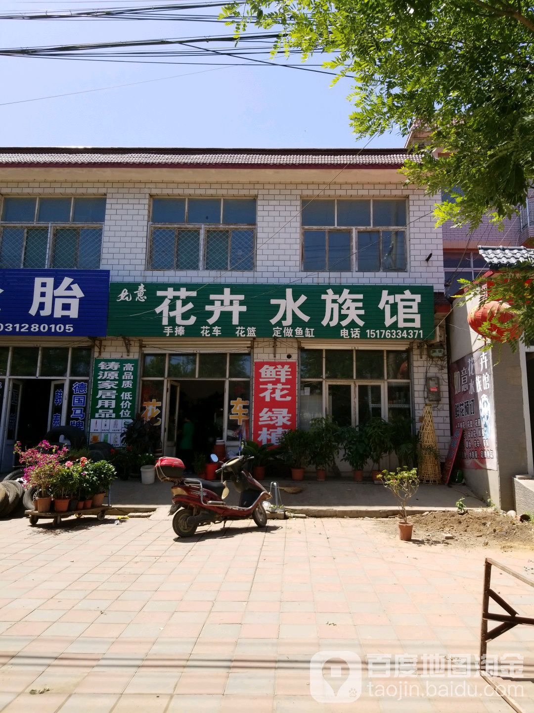 如意花卉水族管