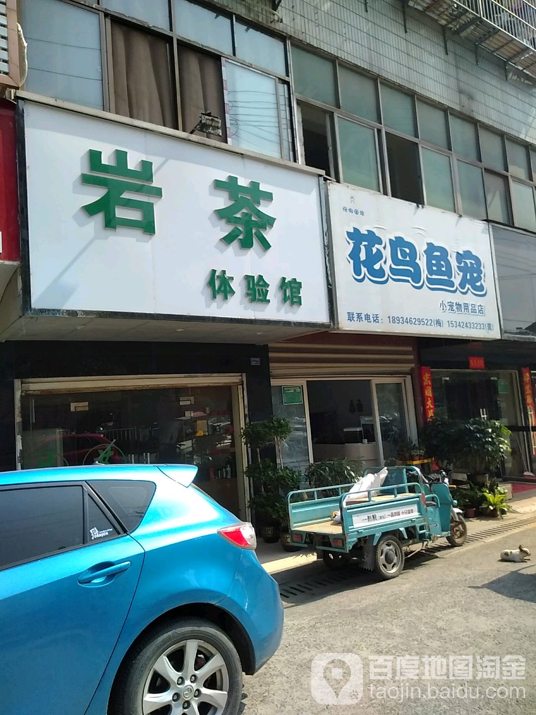花鸟鱼宠