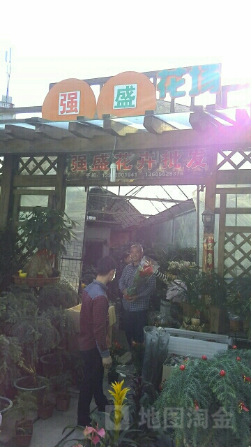 强盛花场