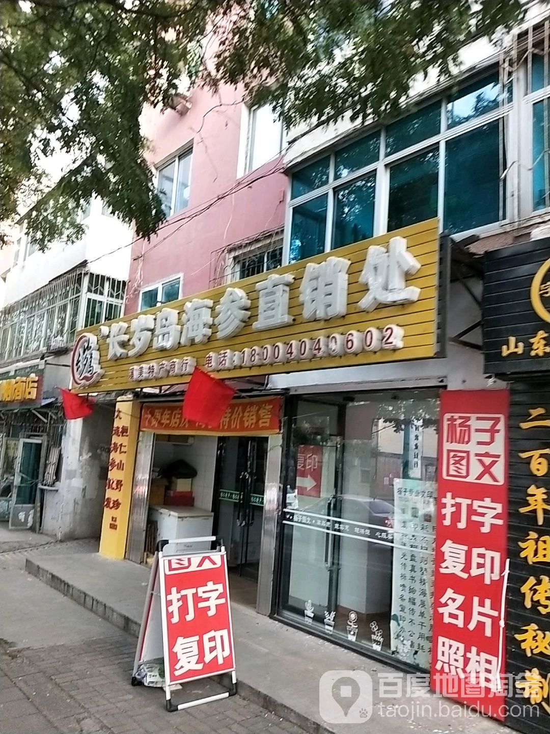 长岁岛海参直销点处