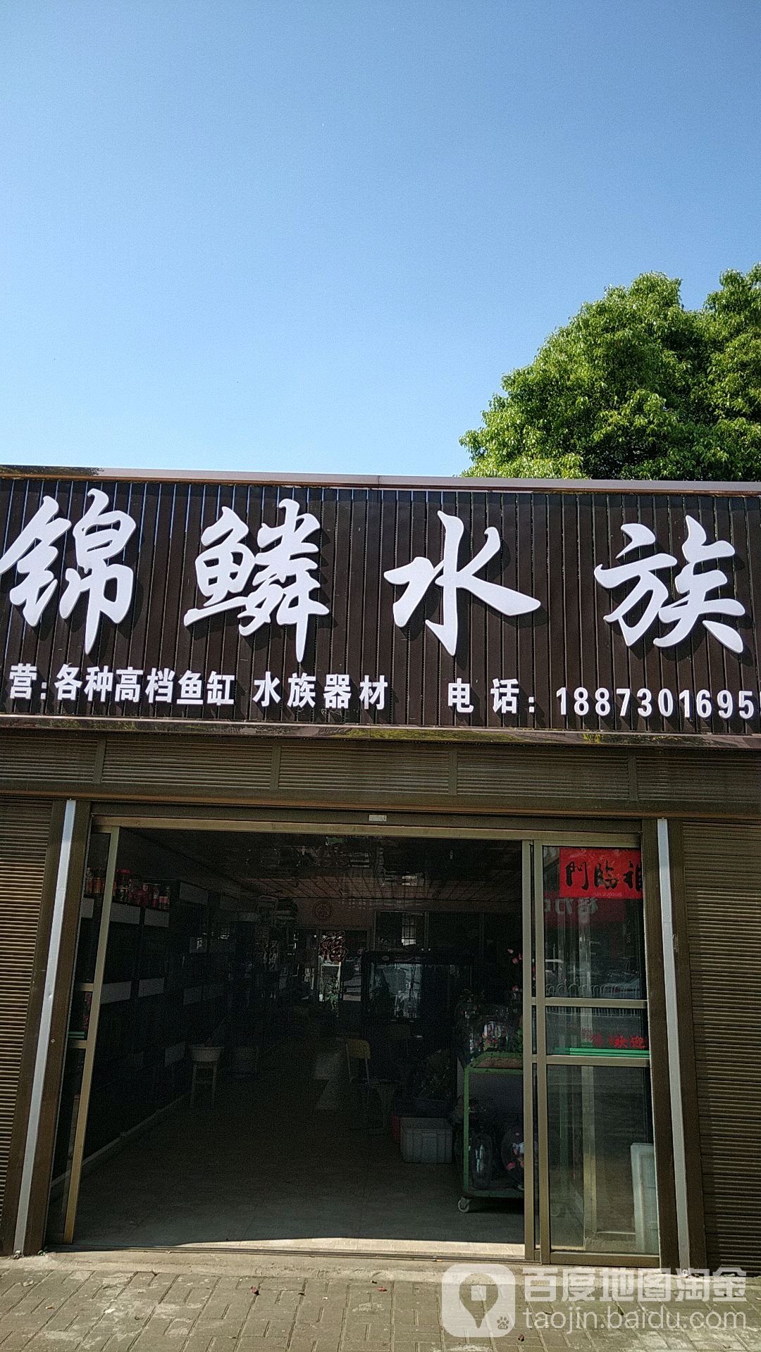 锦鳞水族