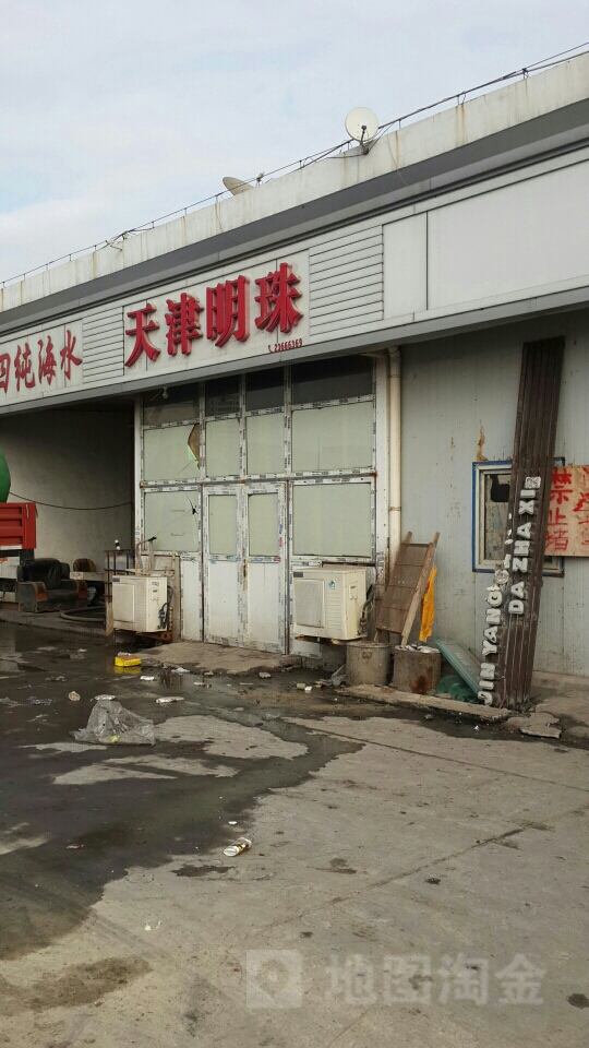 天津明珠