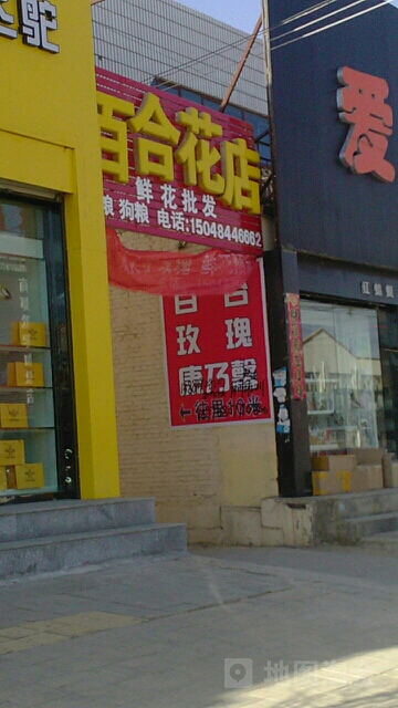 百合花店(新风西路店)