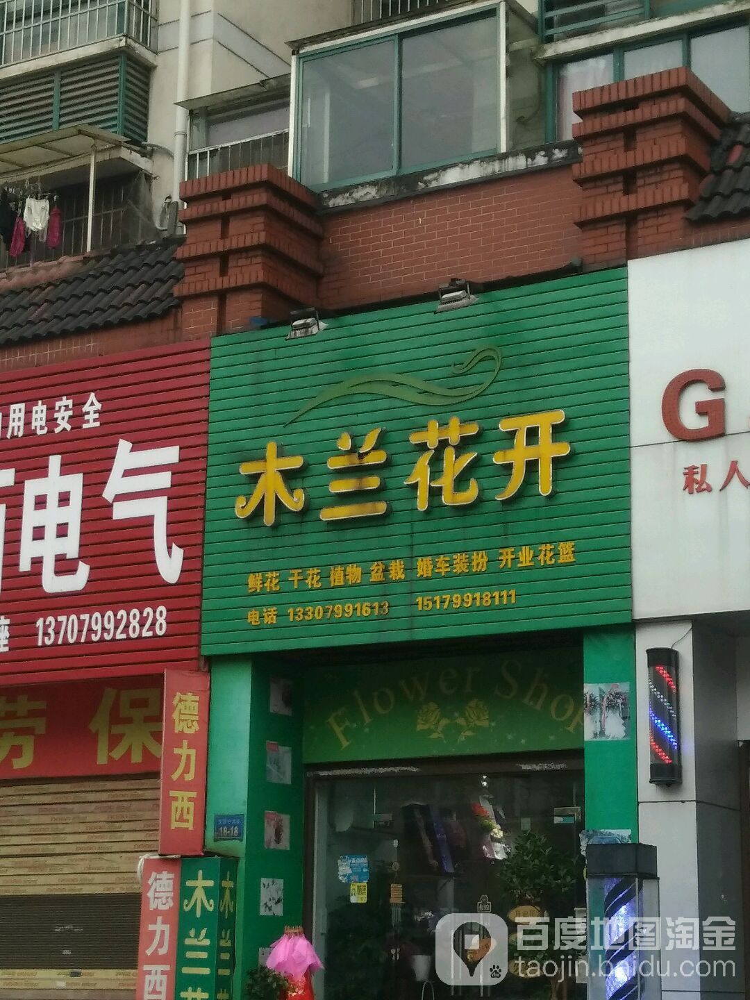 木兰花开