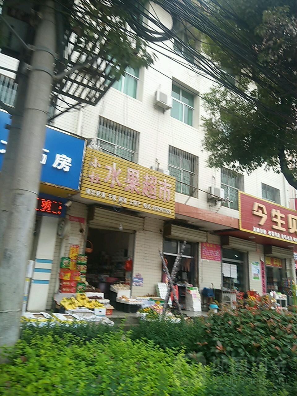 小杜水果超市