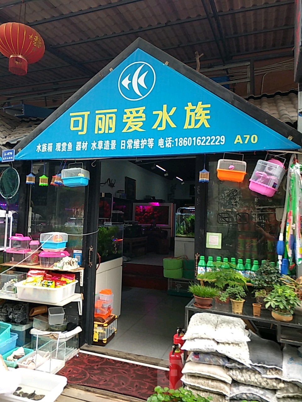 可怜爱水族(金汇路店)