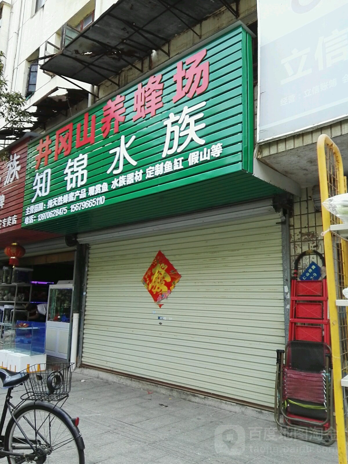 知锦水族