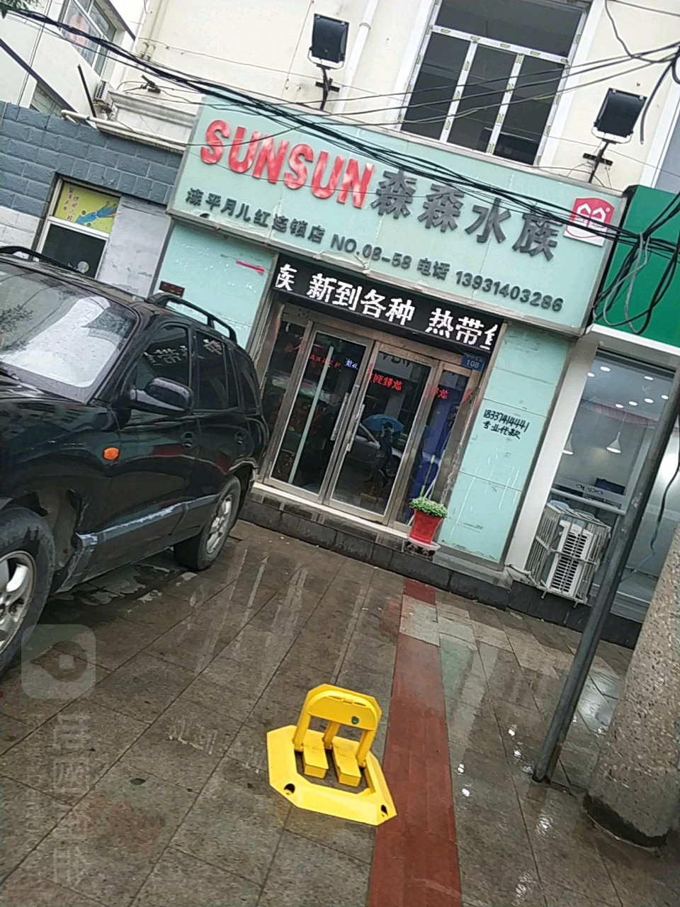 森森水族(滦平月儿红店)
