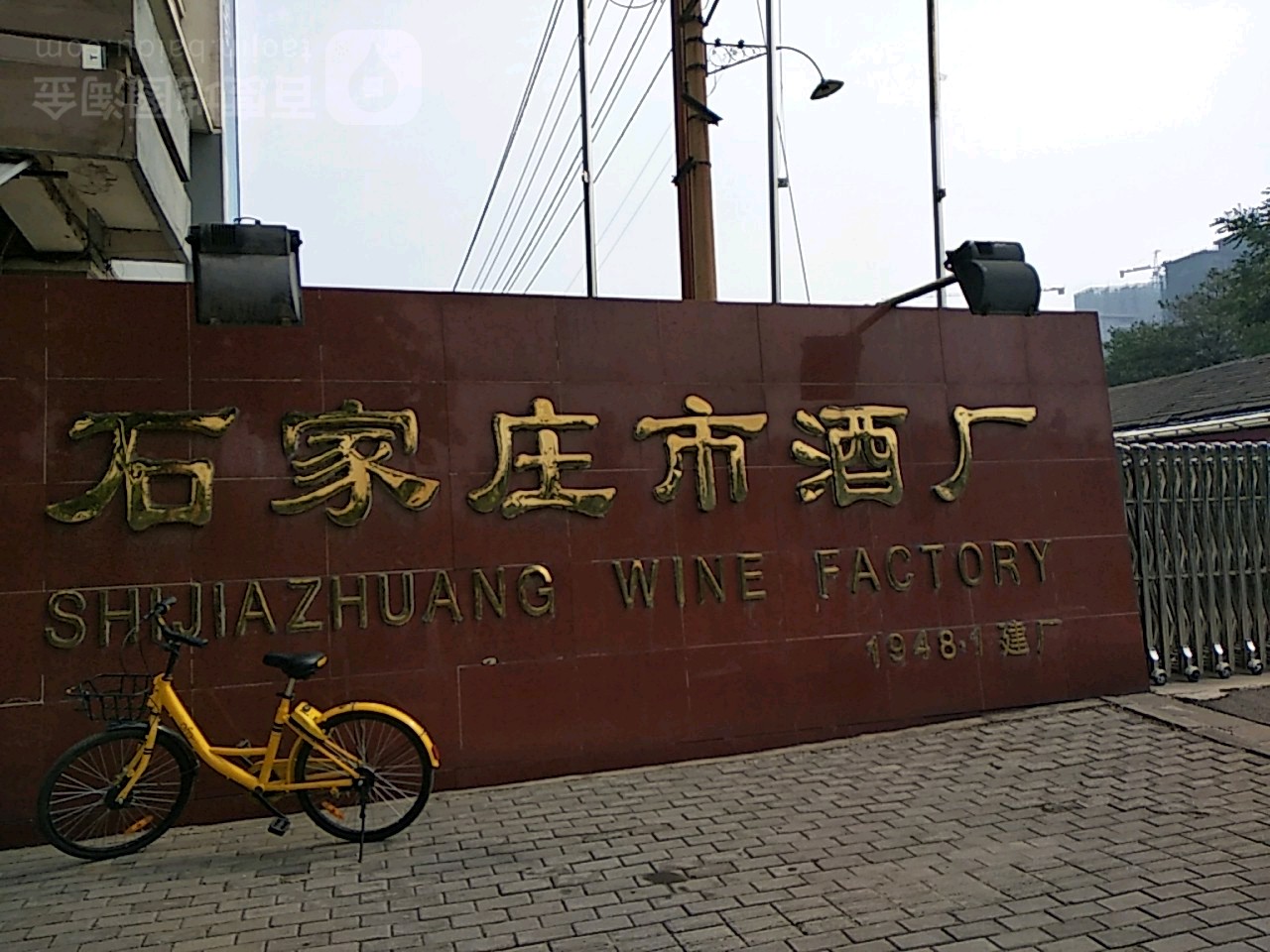石家庄市酒厂