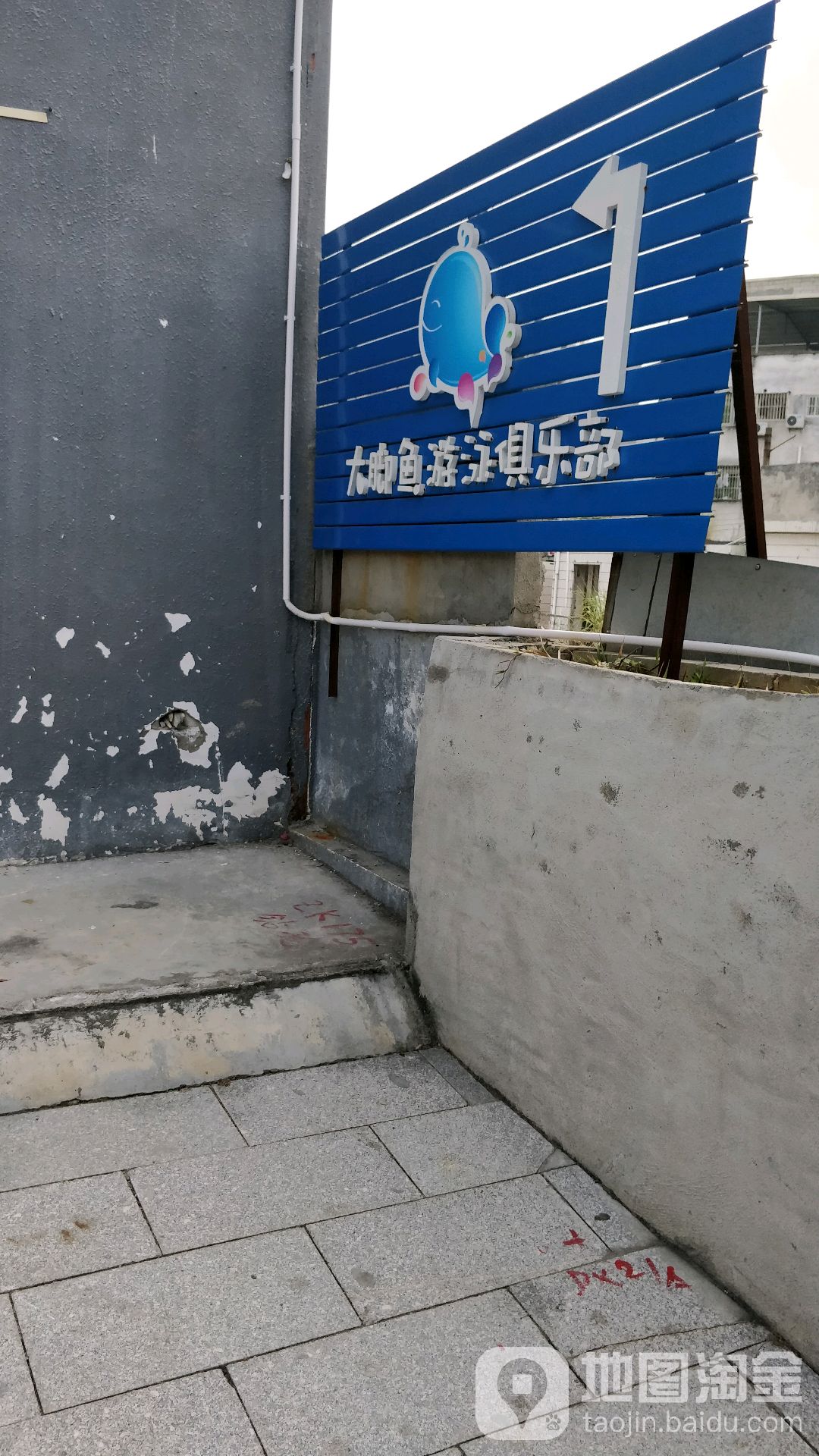 大脚鱼游泳俱乐部(南城店)