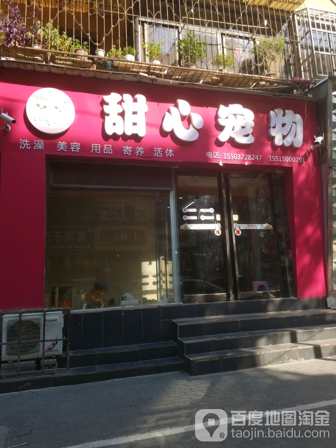 甜心宠物