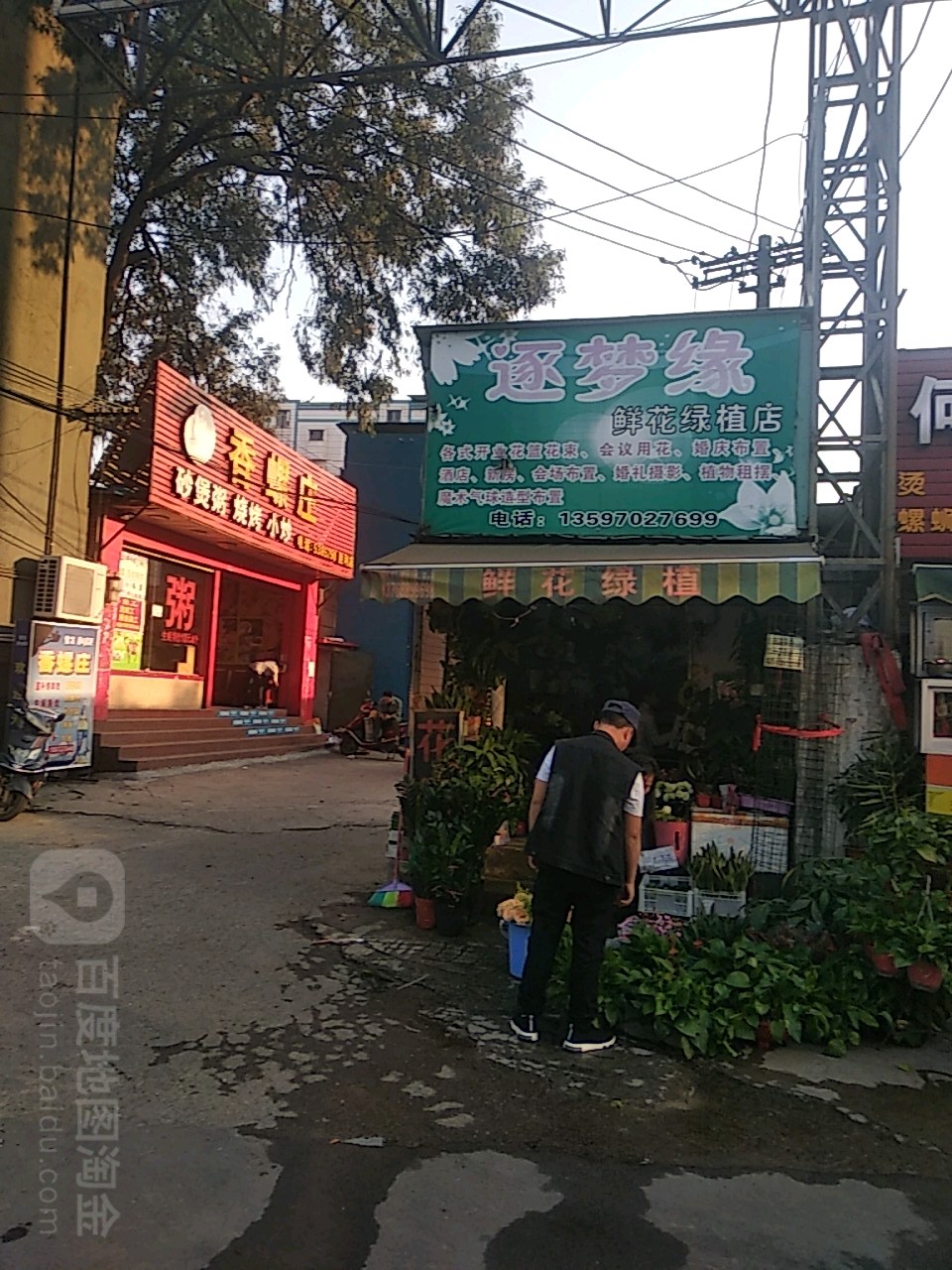 逐梦缘鲜花绿植(绿植店)