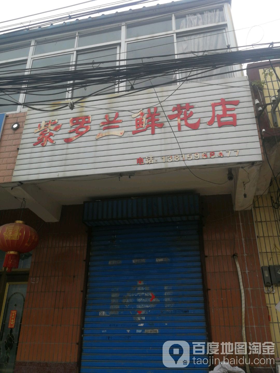 171紫罗兰鲜花店