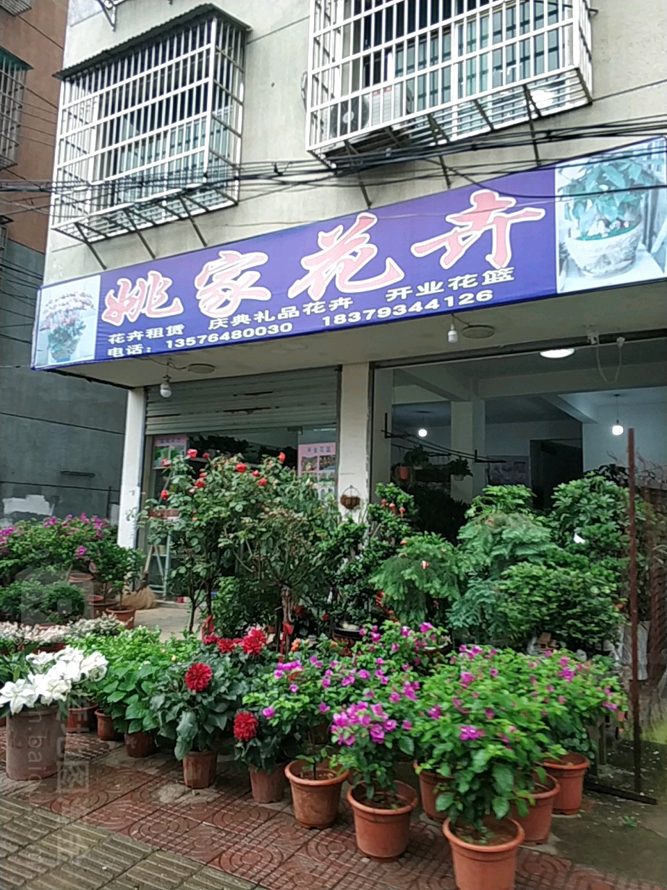 姚家花卉