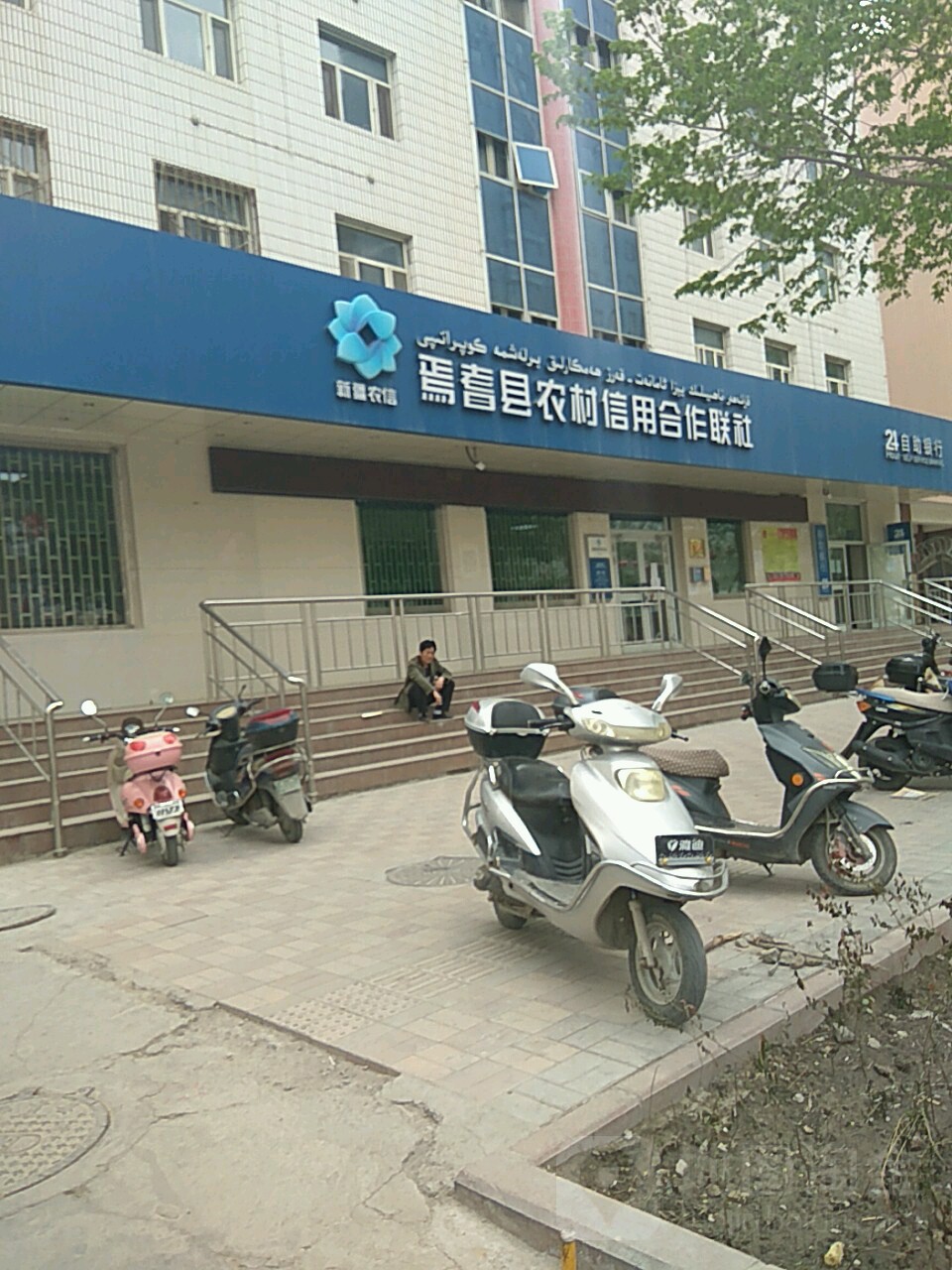 焉耆回族自治县农村信用合作联社(新华路)