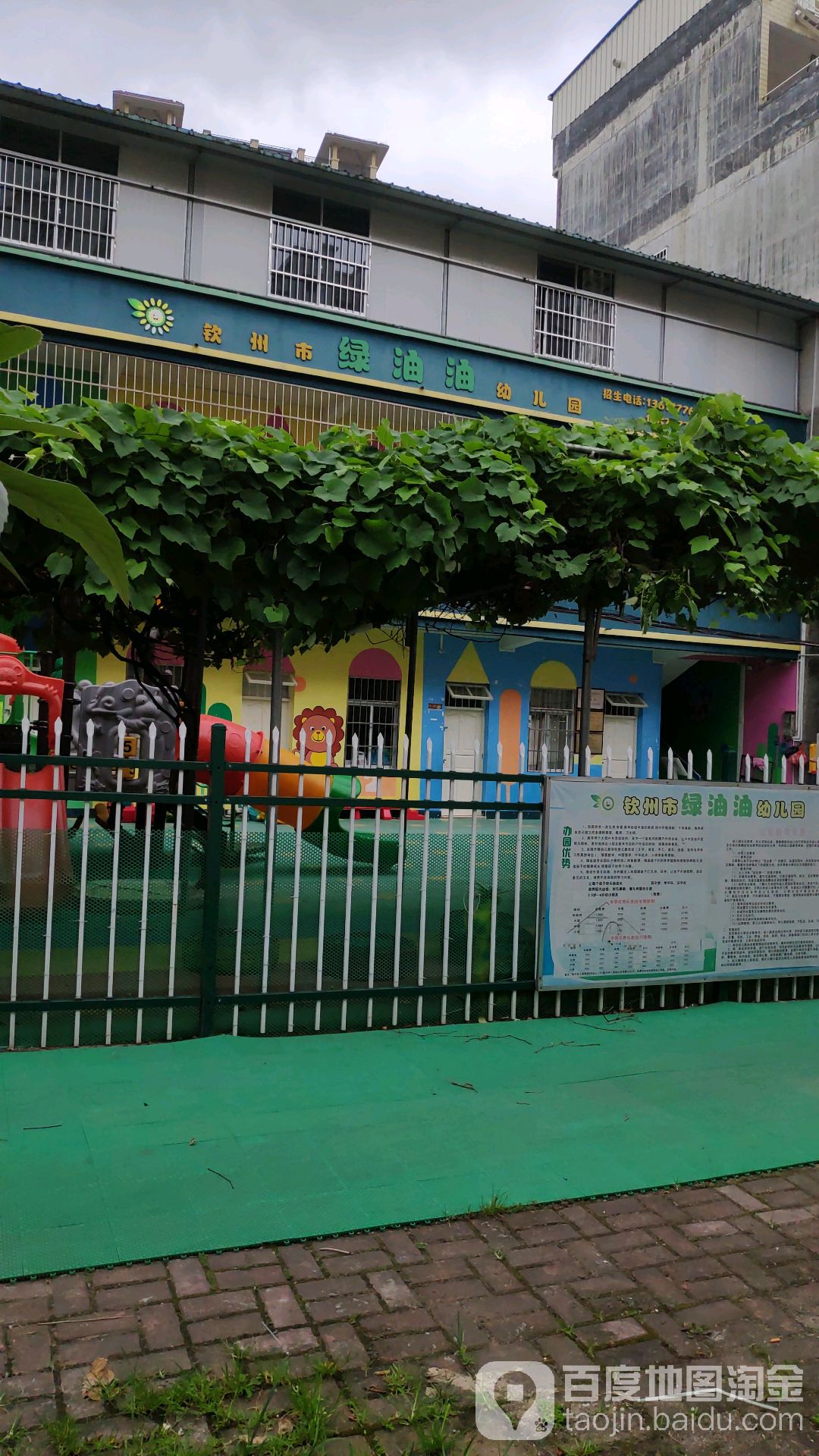 钦州市绿油油幼儿园的图片