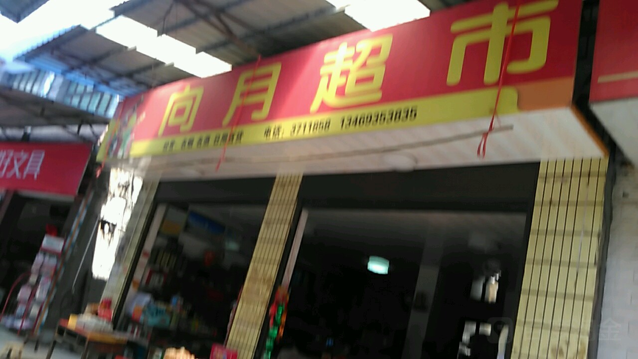 向月美食