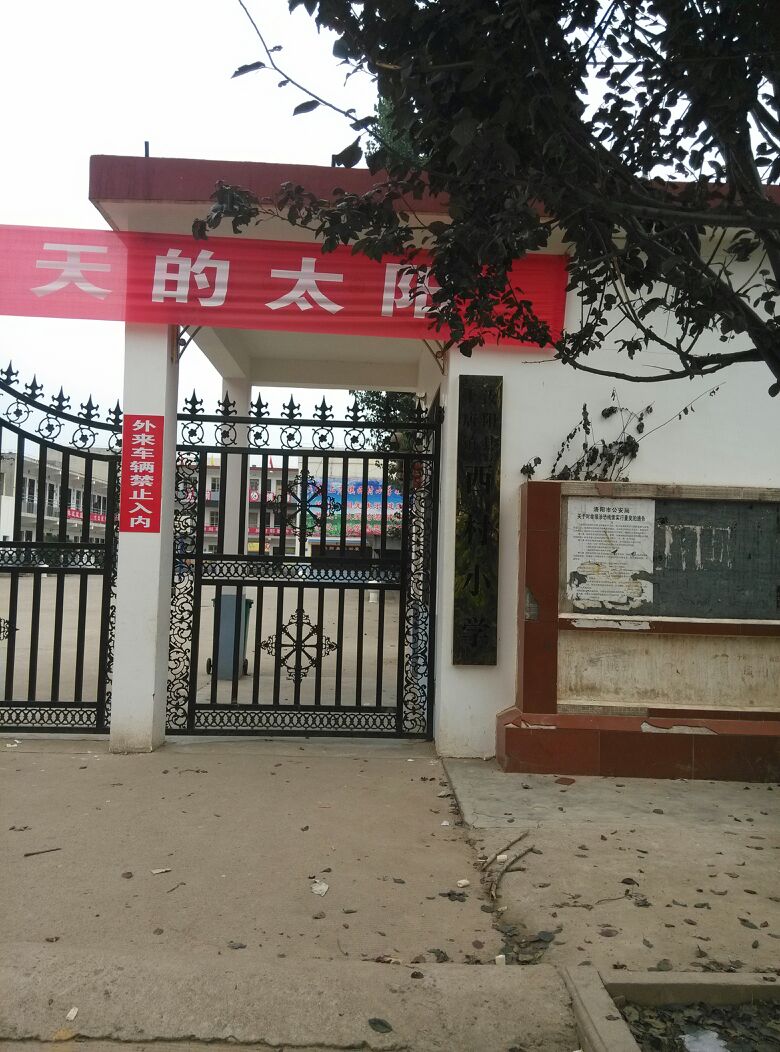 河南西庄村图片