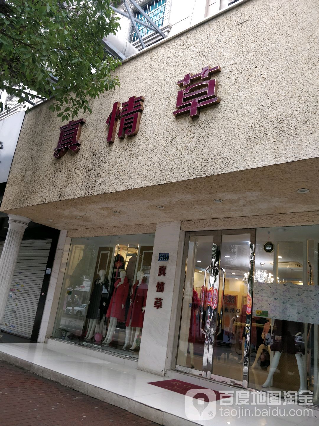 真情草