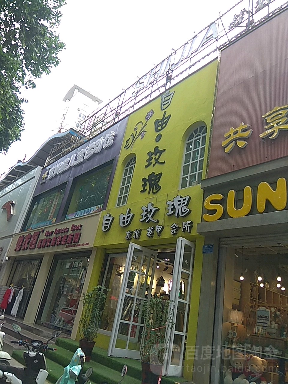 自由玫瑰(梅溪路店)