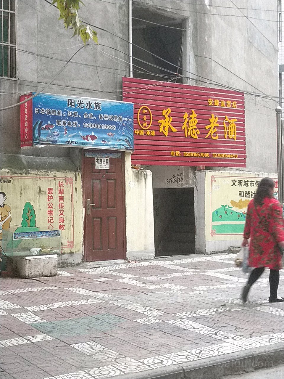 阳光水族