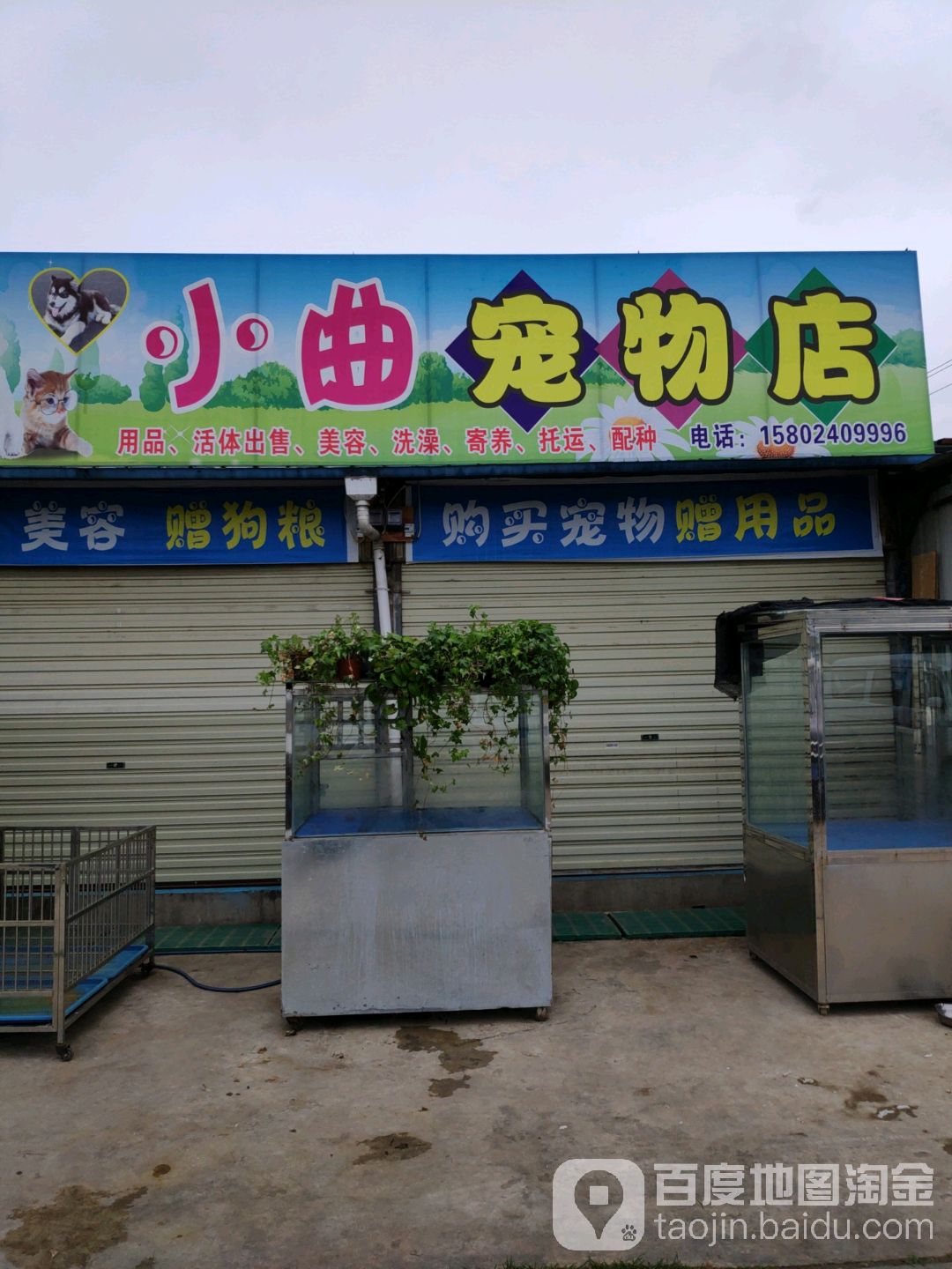 小曲宠物店店