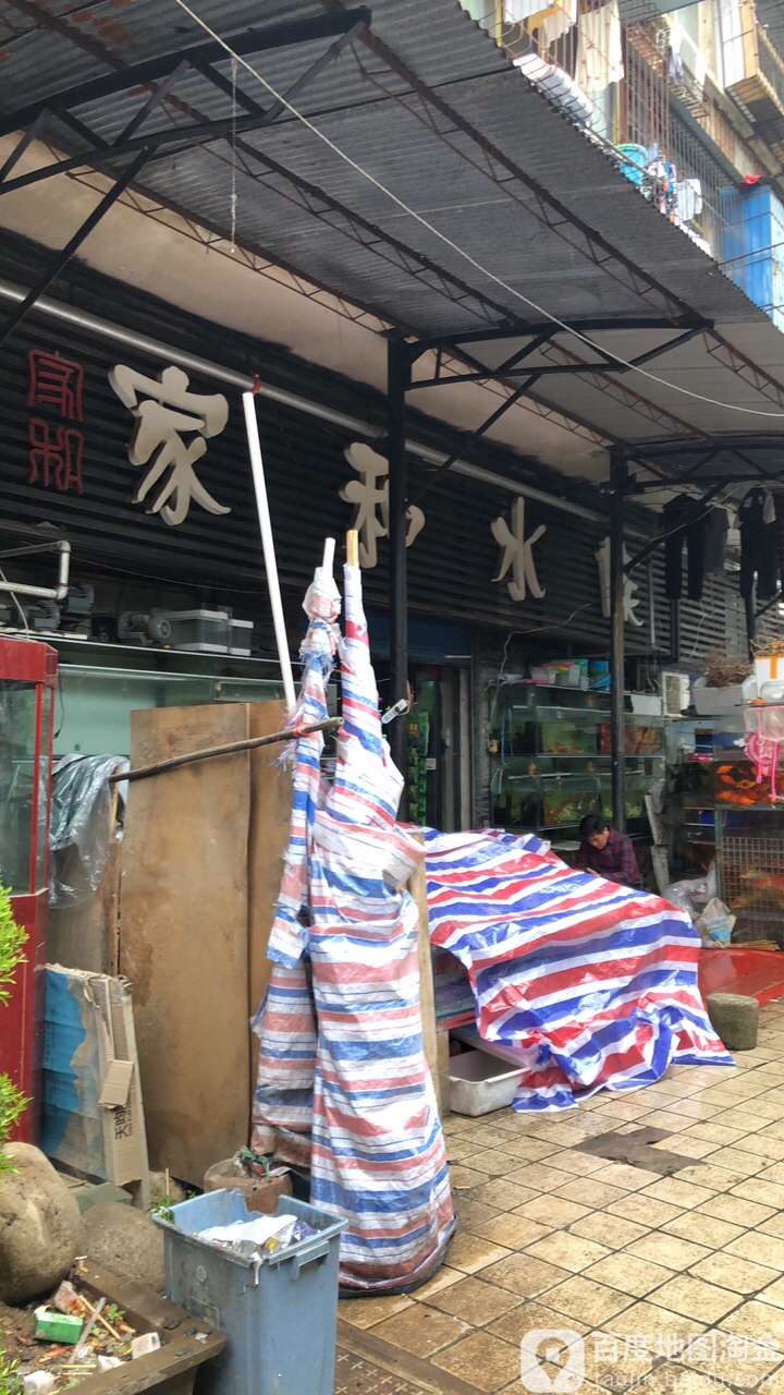 盛大家和水族
